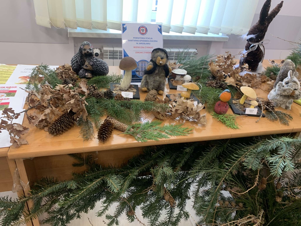 Stoisko na dniach otwartych PSSE Jarosławiu: grzyby, szyszki i zwierzątka.