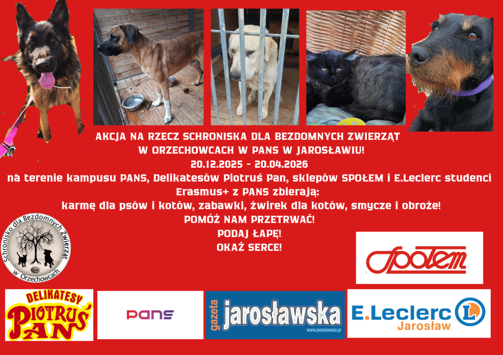 Akcja na rzecz Schroniska dla Bezdomnych Zwierząt
