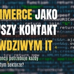 E-commerce jako pierwszy kontakt z IT: tekst o kompetencjach programisty