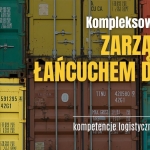 Kompleksowy poradnik zarządzanie łańcuchem dostaw - kontenery morskie