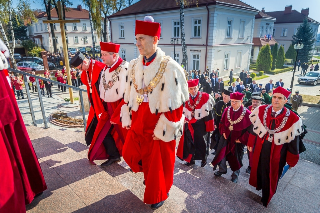 Inauguracja 2018/2019: Uczestnicy w togach na schodach